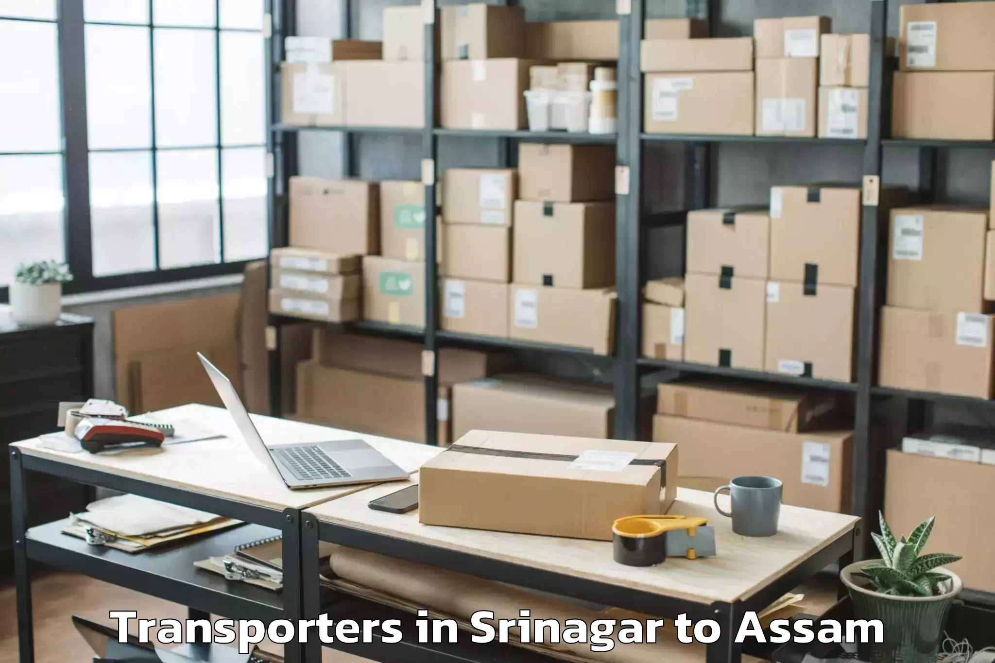 Top Srinagar to Rangapara Transporters Available